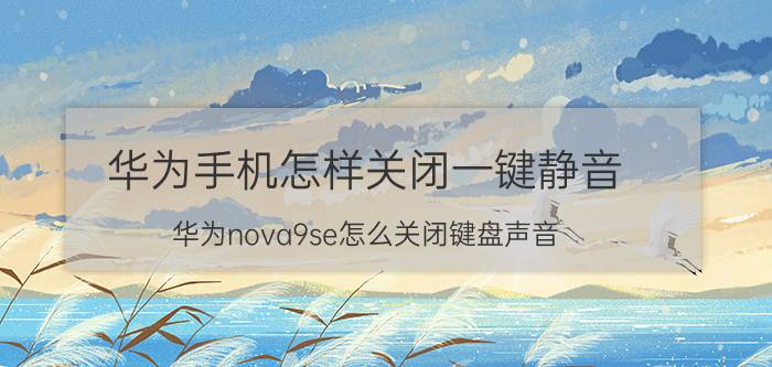 华为手机怎样关闭一键静音 华为nova9se怎么关闭键盘声音？